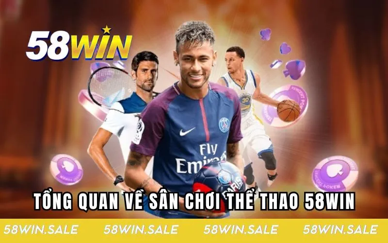 Tổng quan cần biết về sân chơi thể thao 58win